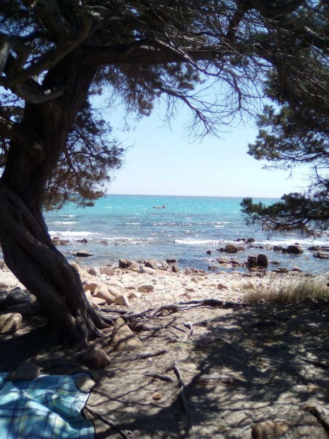 Appartamento Vacanze Sardegna Siniscola Eksteriør billede